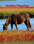 Weekly Planning: For lovers Horse gifts Idea for Women and Men