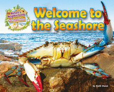 Welcome to the Seashore