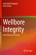Wellbore Integrity: From Theory to Practice