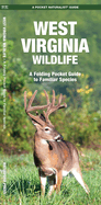 West Virginia Wildlife: An Introduction to Familiar Species