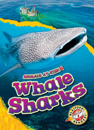 Whale Sharks