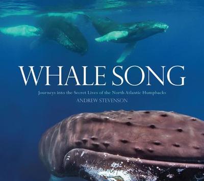 Whale Song: Journeys Into the Secret Lives of the North Atlantic Humpbacks - Stevenson, Andrew