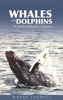 Whales and Dolphins of Newfoundland and Labrador - Ledwell, Wayne