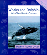 Whales and Dolphins: What They Have in Common