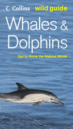 Whales and Dolphins - Carwardine, Mark