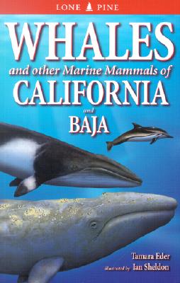 Whales and Other Marine Mammals of California and Baja - Eder, Tamara, and Bodegom, Volker (Editor)