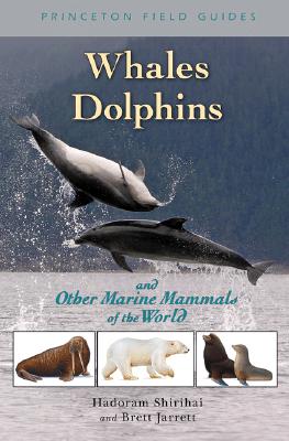 Whales, Dolphins, and Other Marine Mammals of the World - Shirihai, Hadoram