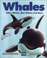 Whales: Killer Whales, Blue Whales & More