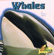 Whales - Johnston, Marianne