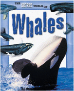 Whales