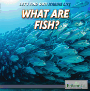 What Are Fish?