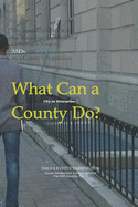 What Can a County [City or Enterprise] Do?: The 2020 Handbook for Mitigating the Impact of [ ] Protocol Toxicity, ASDs and Autism on a County Population