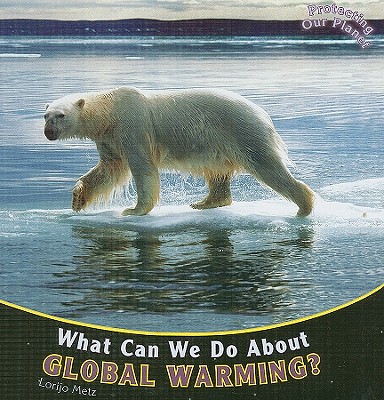 What Can We Do about Global Warming? - Metz, Lorijo