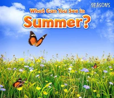 What Can You See In Summer? - Smith, Sian