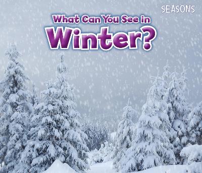 What Can You See In Winter? - Smith, Sian