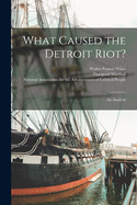 What Caused the Detroit Riot?: an Analysis