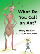 What Do You Call an Ant?