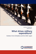 What Drives Military Expenditure?