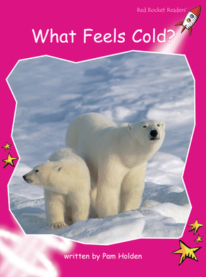 What Feels Cold? - Holden, Pam