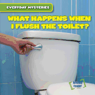 What Happens When I Flush the Toilet?