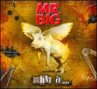 What If... [CD/DVD] - Mr. Big