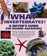 What Invertebrates?: A Buyer's Guide for Marine Aquariums - Lougher, Tristan