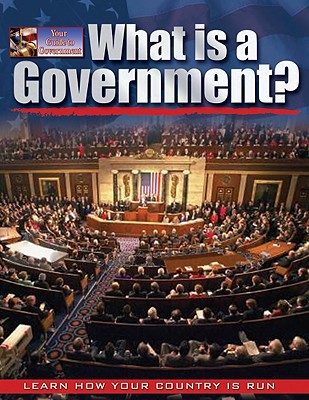 What Is a Government? - Bedesky, Baron