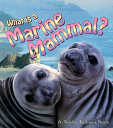 What is a Marine Mammal?