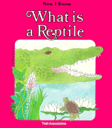 What Is a Reptile - Pbk