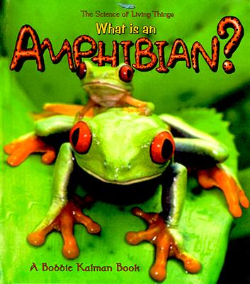 What Is an Amphibian? - Kalman, Bobbie