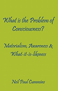 What is the Problem of Consciousness?: Materialism, Awareness & What-it-is-likeness