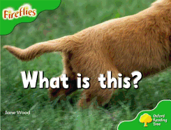 What Is This?
