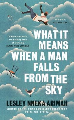 What It Means When A Man Falls From The Sky: The most acclaimed short story collection of the year - Arimah, Lesley Nneka
