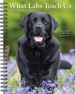 What Labs Teach Us 2026 6.5 X 8.5 Engagement Calendar
