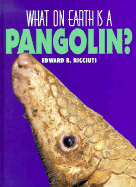 What on Earth is a Pangolin?