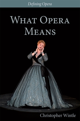 What Opera Means: Categories and Case-studies - Wintle, Christopher, and Hopkins, Kate (Editor)