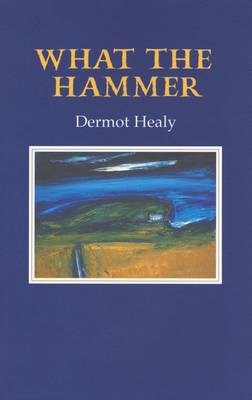 What the Hammer - Healy, Dermot