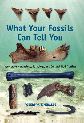 What Your Fossils Can Tell You: Vertebrate Morphology, Pathology, and Cultural Modification - Sinibaldi, Robert W
