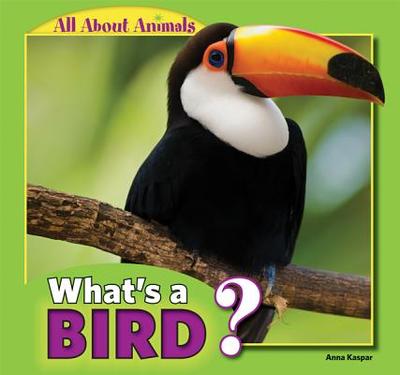 What's a Bird? - Kaspar, Anna