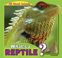 What's a Reptile?