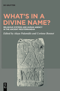 What's in a Divine Name?: Religious Systems and Human Agency in the Ancient Mediterranean