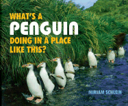 What's/Penguin Place Like This