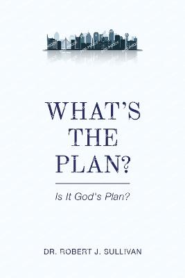 What's the Plan - Sullivan, Robert J