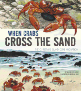 When Crabs Cross the Sand: The Christmas Island Crab Migration