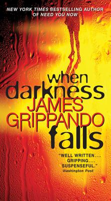 When Darkness Falls - Grippando, James