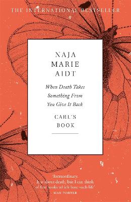 When Death Takes Something From You Give It Back - Aidt, Naja Marie, and Newman, Denise (Translated by)