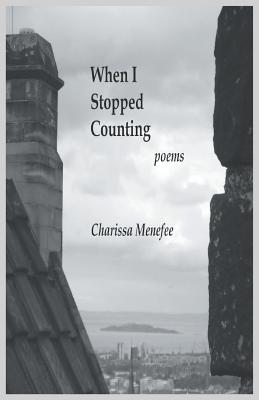 When I Stopped Counting - Menefee, Charissa