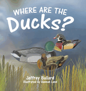 Where Are the Ducks?