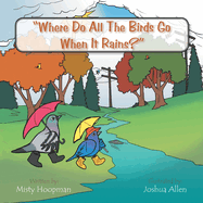 Where Do All The Birds Go When It Rains?