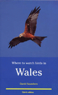 Where to Watch Birds in Wales